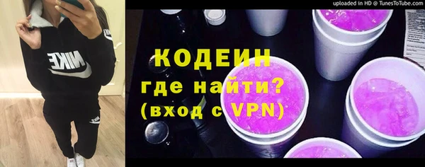 хмурый Бородино