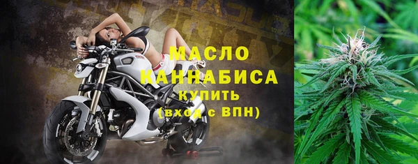 хмурый Бородино