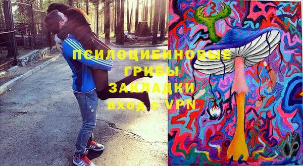 хмурый Бородино