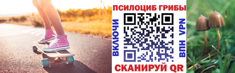 Псилоцибиновые грибы ЛСД  как найти   Светлогорск 