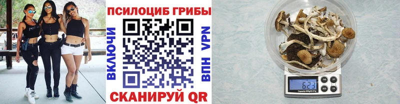 Галлюциногенные грибы Cubensis Светлогорск