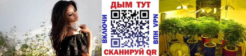 Марихуана MAZAR mega ONION Светлогорск